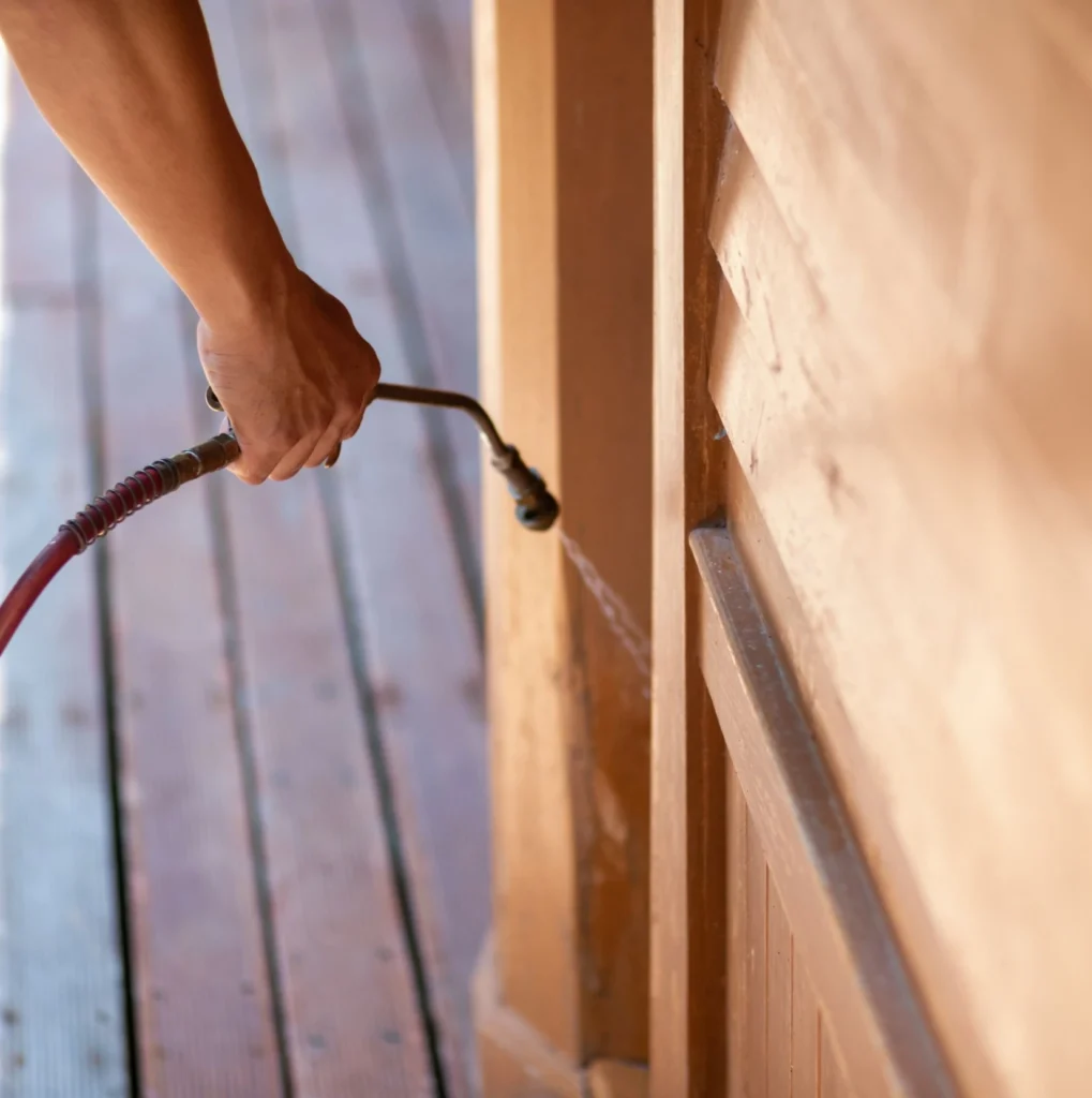 Trusted Pest Control - Union Pest Control Pros | Union, NJ | 201-379-1665